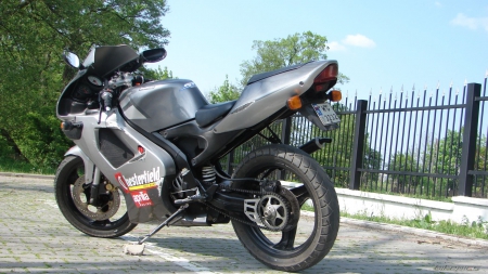 1996 Aprilia RS 50 - aprilia, rs 50, bike, motor