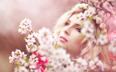 Spring beauty - woman, beauty, girl, bride, model, white, cherry blossom, pink, flower