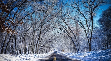 Winter Road - country road, sunlight, trees, snow, season