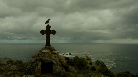 bird standing on a memorial cross at a seacoast - bird, memorial, coast, overcast, sea, cross