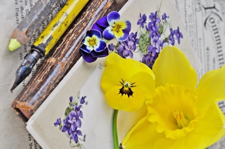 Still Life - flowers, pretty, for you, blue flowers, nature, yellow flowers, with love