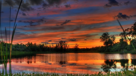 lake the color of the sunset hdr - lake, trees, reflection, sunset, hdr, reeds