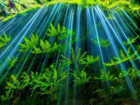 Spray - green, spray, waterfall, plants