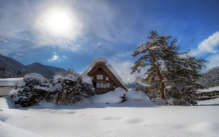 Winter - snowflakes, splendor, snow, photo, sky, sun, trees, winter, beautiful, photography, lovely, tree, wonderful, ice, nature, snowflake, cold