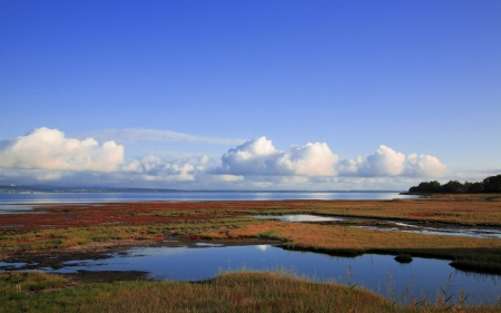 Clouds Lake - sky, lake, landscapes, grass