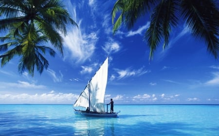 Smooth sailing - sail, sky, trees, blue, boat