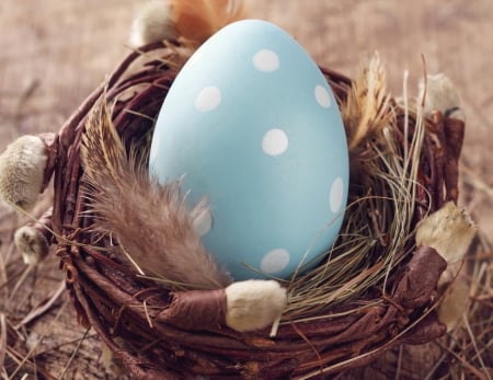 Easter - happy easter, easter, easter egg, egg