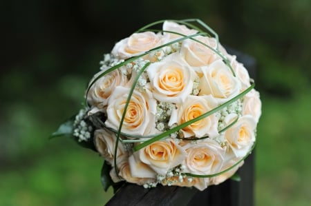 Bouquet - roses, rose, wedding, flowers, bouquet, wedding bouquet, nature