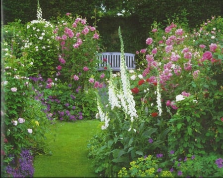 Garden - white, green, bench, flowers, grass