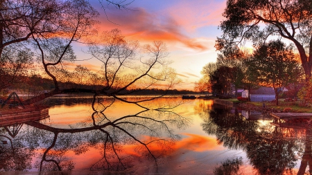 Lovely sunset view at lake shore - plants, lake, eve, sun