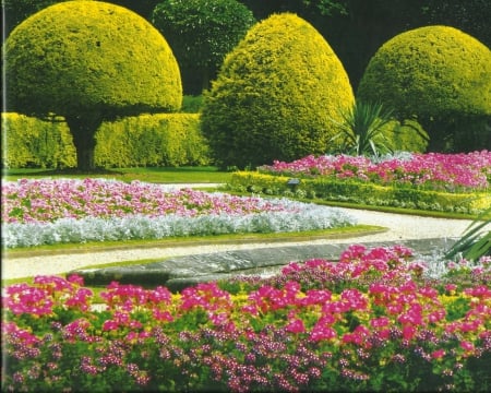 Garden - green, flowers, grass, trees