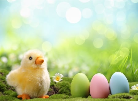 Happy Easter - bokeh, chick, easter, happy easter, spring, eggs, spring time, easter eggs, flowers, grass