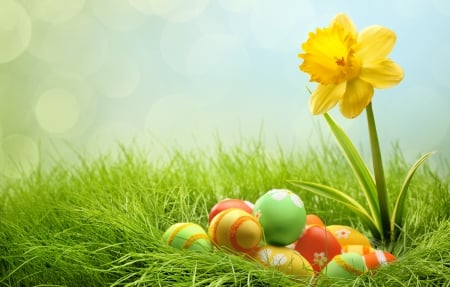 Easter - spring, grass, yellow flowers, spring time, easter, flowers, happy easter, nature, easter eggs