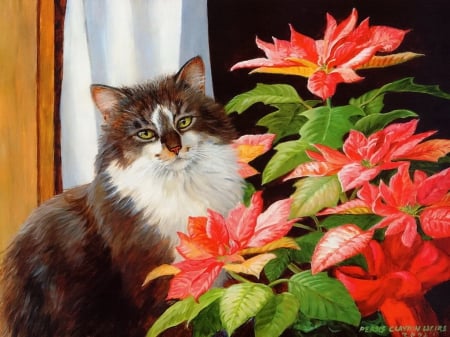 Cat and flower - red, flower, pot, pretty, beautiful, cat, window, leaves, art, room, home, house, painting