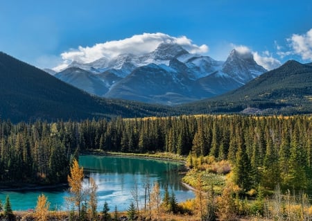 Canadian Rocky Mountains - river, trees, yellow, beautiful, green, snowy peaks, forest