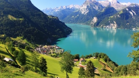 view of a wonderful fjord - village, trees, mountains, fjord, grass