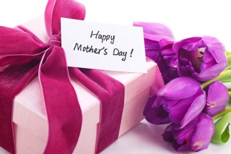 Mother's day - purple, flowers, gift, mothers day