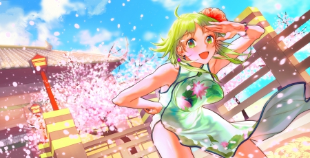 Yay, It's Springtime!!! - anime, vocaloid, cherry blossoms, spring, green eyes, green hair, petals, chinese dress, gumi, colorful