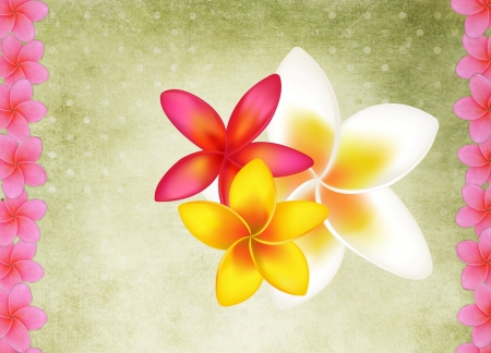 Plumeria - art, pink, flowers, plumeria, flower