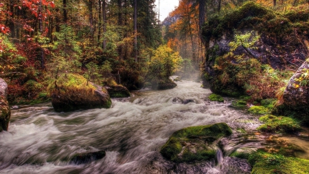 rocks in a rapid river hdr - river, trees, autumn, hdr, moss, rapids, rocks