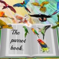 THE PARROT BOOK