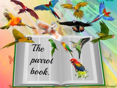 THE PARROT BOOK - parrots, book, abstract, art