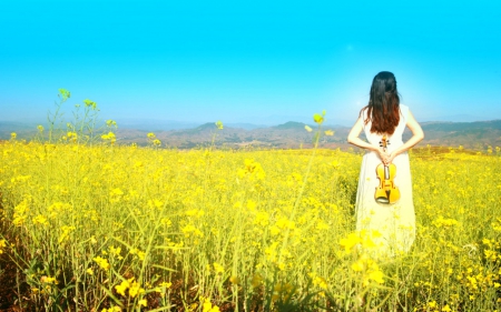 Sunny day - field, flower, guitar, woman