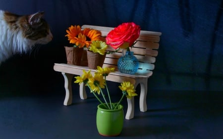 Still life - flowers, bench, vases, Still life