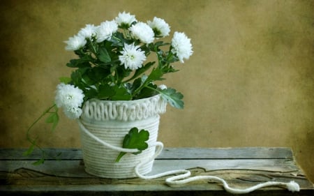 Still life - white, rope, flowers, still life, vase