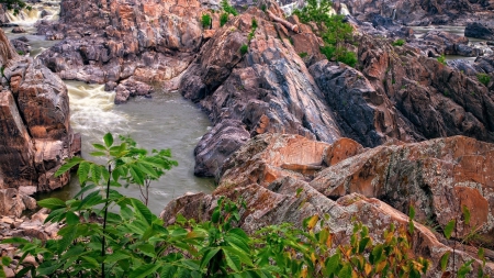 river through rocky landscape - rapids, bushes, rocks, river