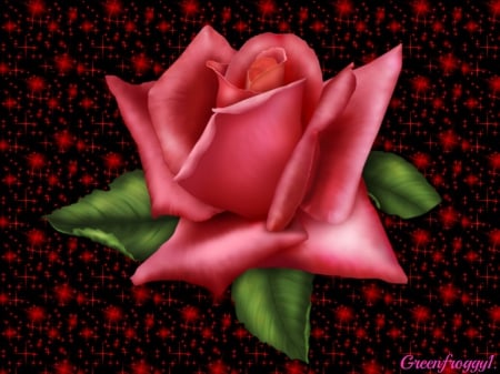 ROSE ON GLITTER - black, rose, pink, red