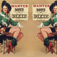 Dixie Outlaw Cowgirls