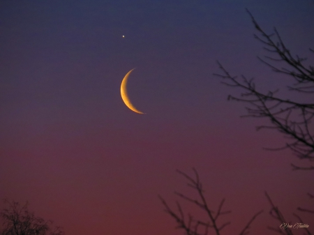 Moon - moon, morning, early, sky