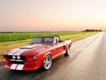 ford shelby mustang convertible