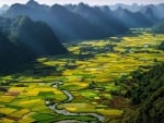 agricultural fields in a vast river valley in viet nam