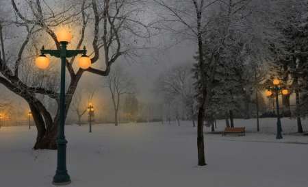 Winter - winter, trees, snow, lamps