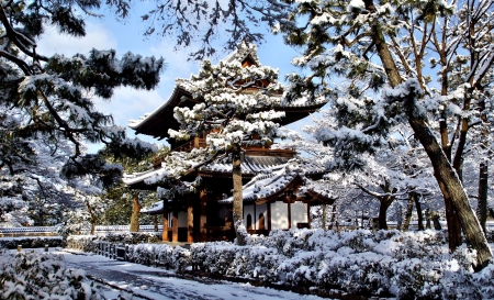 Beautiful winter - winter, tree, snow, beautiful