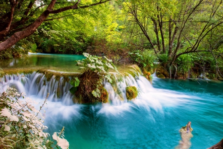 Wild river - nature, tree, river, wild