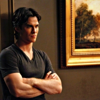Ian Somerhalder as Damon