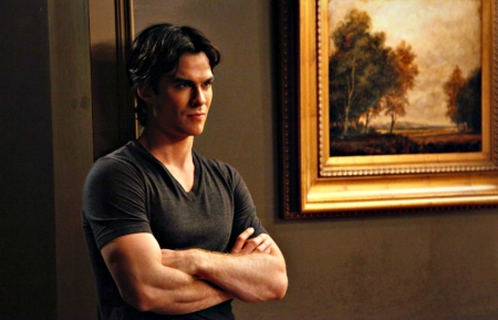 Ian Somerhalder as Damon