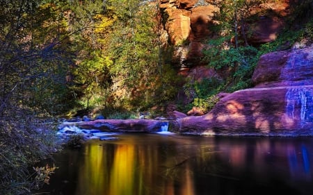 Forest - purple, forest, rocks, river