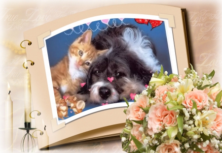 Love is in the Air - hearts, dag and cat, candels, flowers, book page