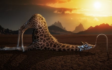 Thirsty - animal, funny, giraffe, orange, photomanipulation, dark, thirsty