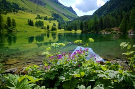 Green lake - lake, sky, trees, summer, lovely, rocks, nature, view, reflectiob, beautiful, leaves, green, flowers, cliffs