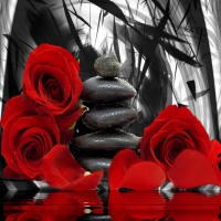 Zen