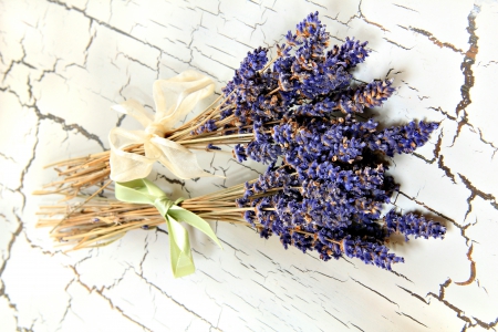 Lavender - flowers, lavender, petals, nature