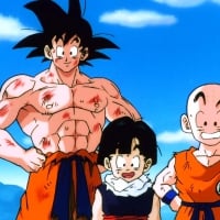 Goku, Gohan and Krillin!