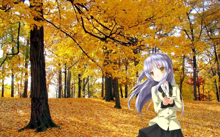 Forest - forest, cute, kanade tachibana, beautiful, angel beats, anime girl, girl, kanade, tree, nature, pretty, kawaii, plant, beauty, sweet, tachibana kanade, anime, hd, purple hair, long hair, tachibana, nice, lovely, female