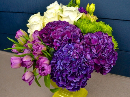 Bouquets - bouquets, tulips, hydrangea, bouquet, tulip, hydrangeas, flowers, flower