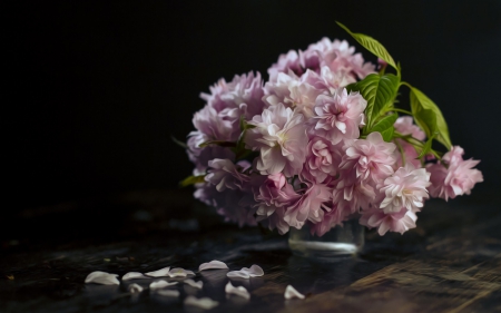 Spring - vase, black, cherry blossom, green, spring, flower, petals